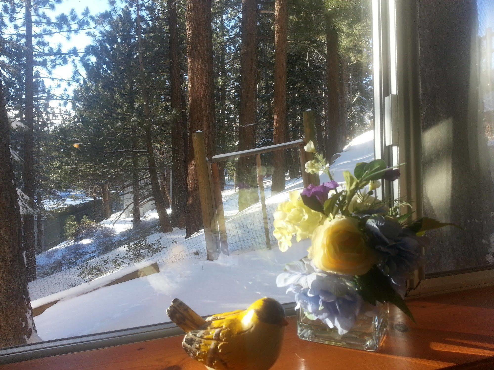 Innsbruck Lodge Mammoth Lakes Kültér fotó