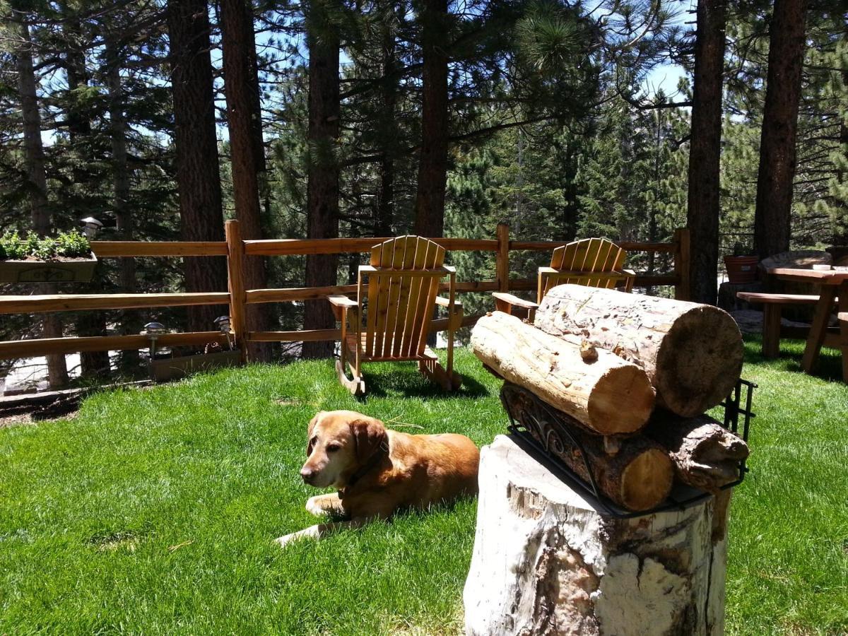 Innsbruck Lodge Mammoth Lakes Kültér fotó